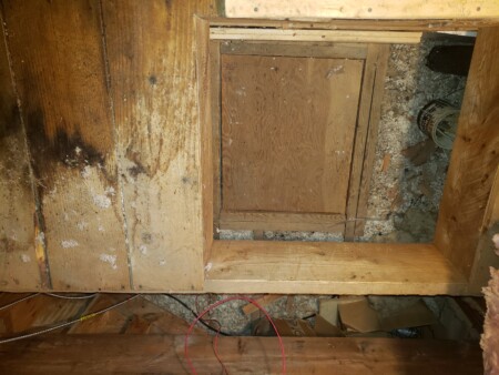 Tiny Access Door