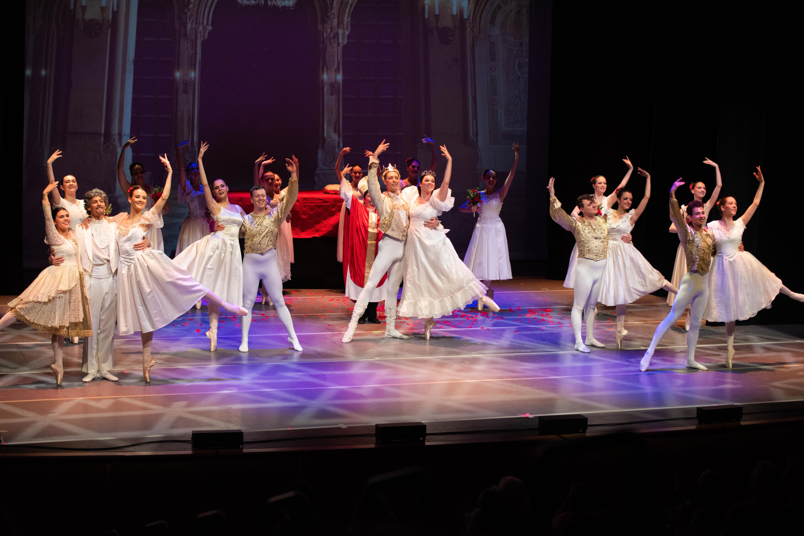 ★Sale★ 再値下げ★SOFT BALLET relics MOSCOW BALLET'S SWAN LAKE - Nampa Civic Center