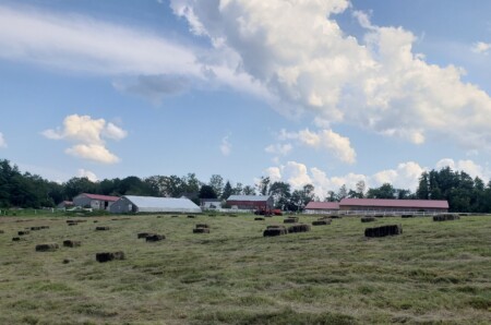Bales On The Ground