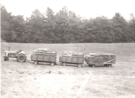 3 Hay Wagons Enhanced Sr