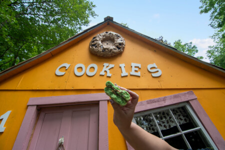 Bg Cookies 27