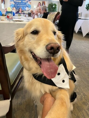 Cooper Tuxedo Pic 2