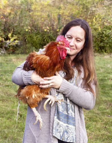 Rooster Rescue 2