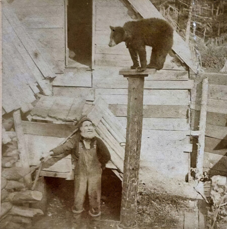 English Jack And His Bear Enhanced Sr
