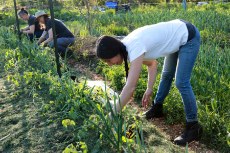 250512 Nhmagazine Abo Dandelionforestfarm 003