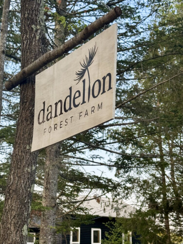 Photo By Allegra Boverman. At Dandelion Forest Farm In Nottingham.