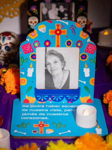 603 Diversity Issue17 Elviajero Raw 12