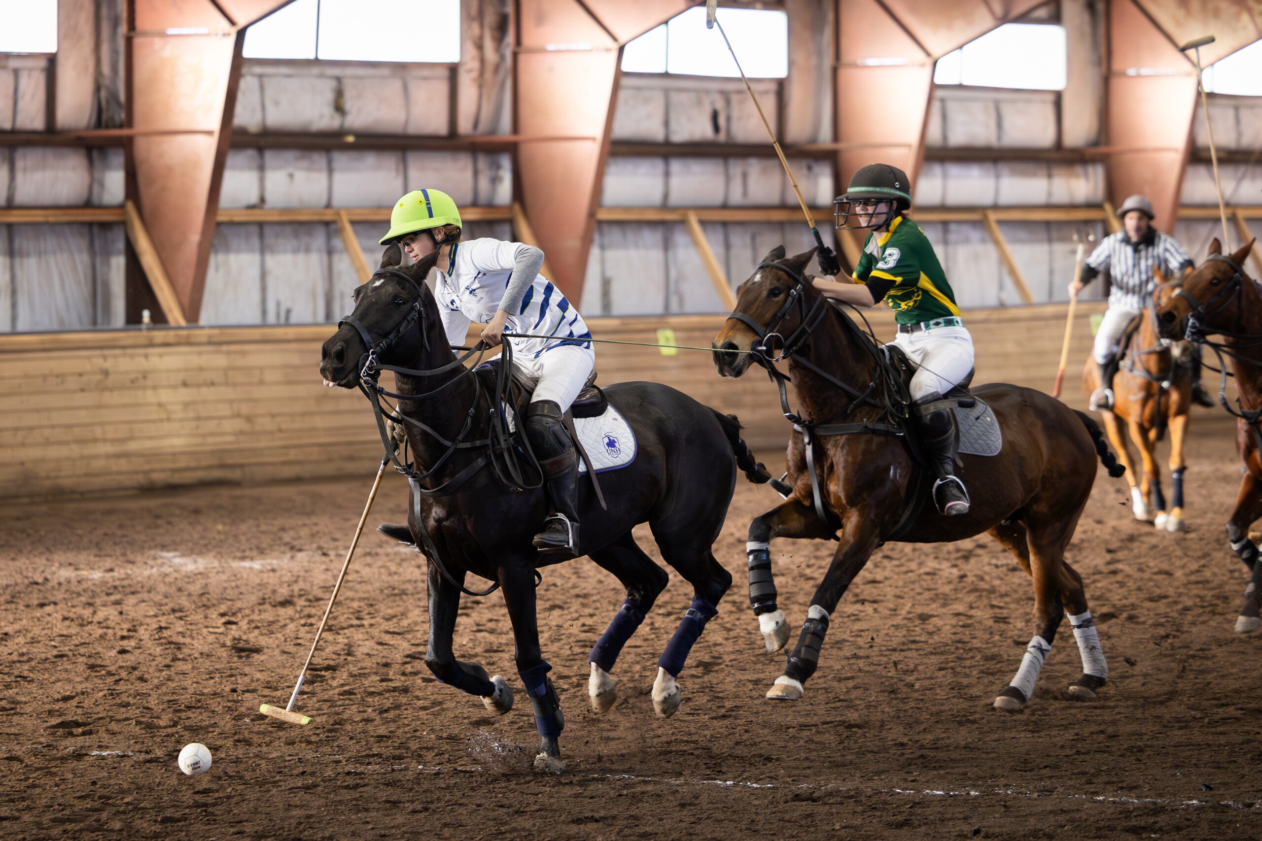 Saddle Up: One Man's Dream Becomes a Polo Partnership That's Not Horsing Around 