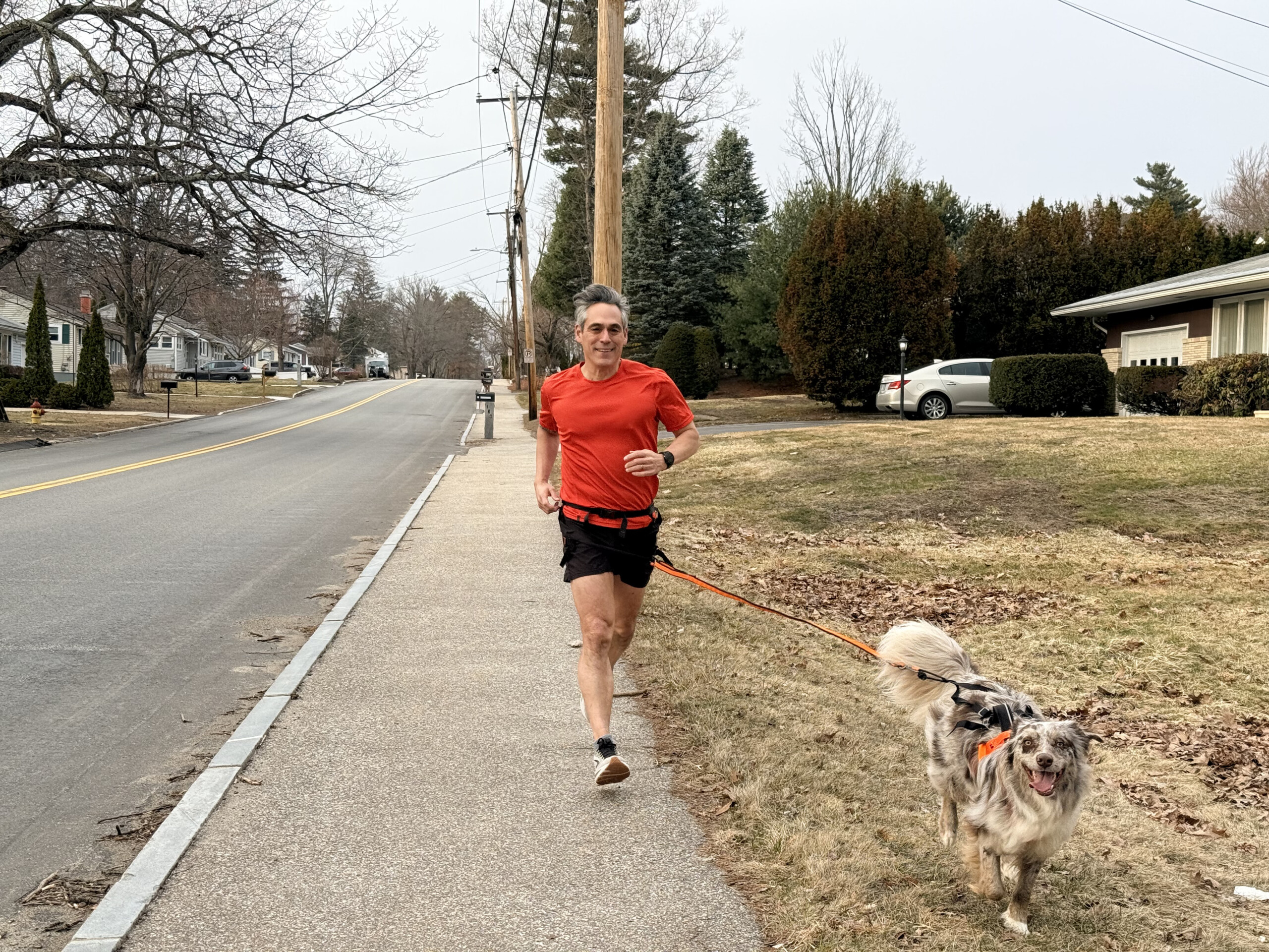 Running the Distance with Bodhi