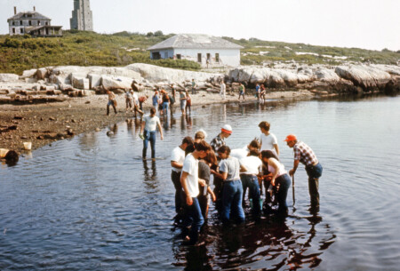 014a Sml 69 Tidepool Crop Steveandersoncollection1