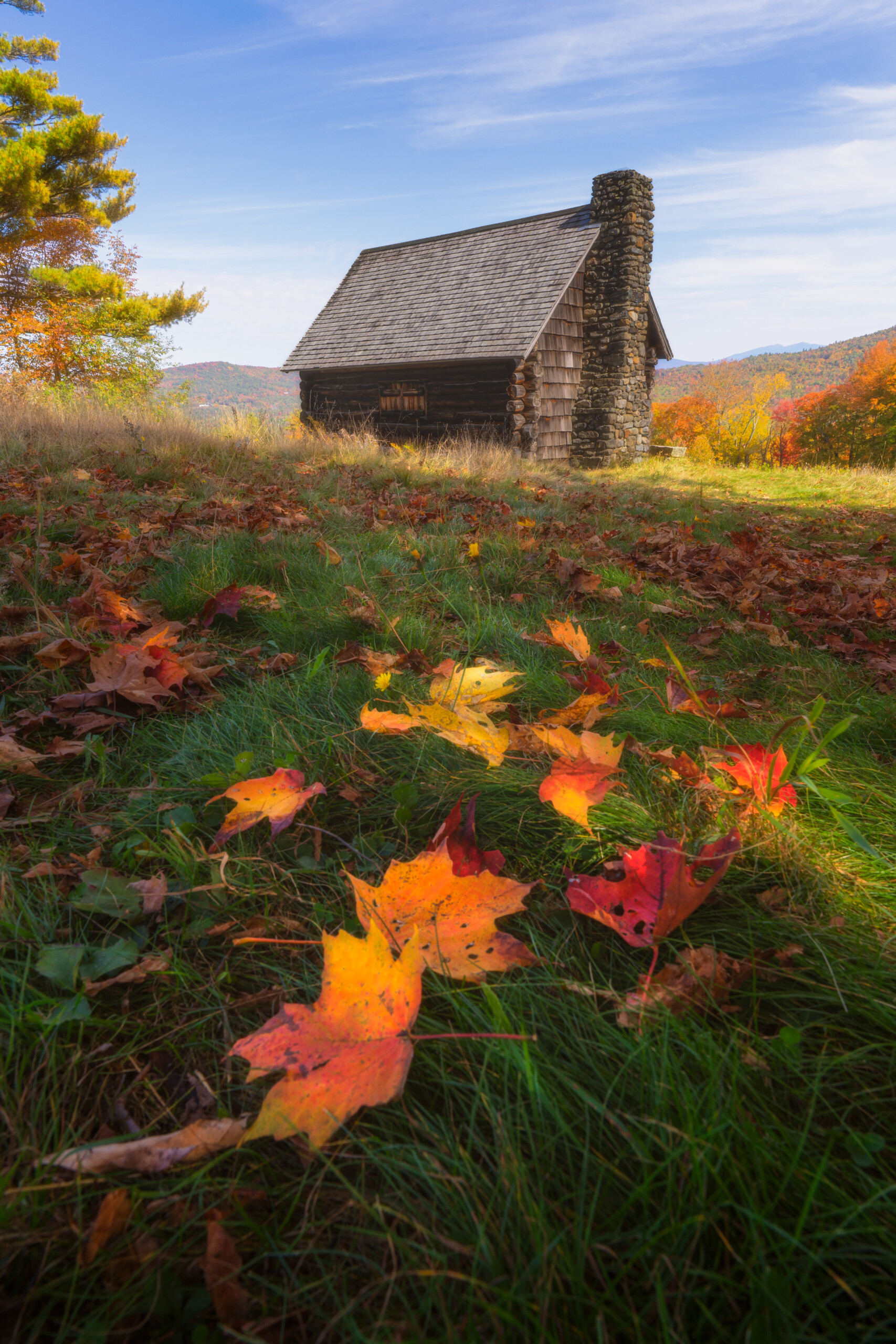 2nd Place Cabinwithleaves