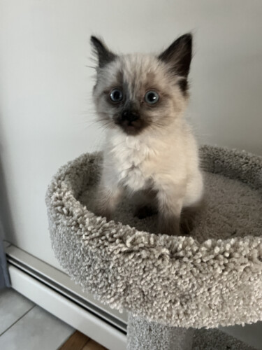 Charlie