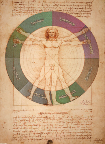 Leonardo Davinci's Vitruvian Man, Uomo Vitruviano, Illustrated