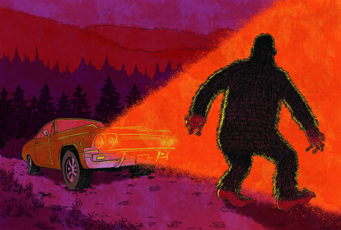 Bigfoot Illustration Final