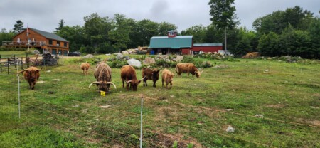 Varga Farm